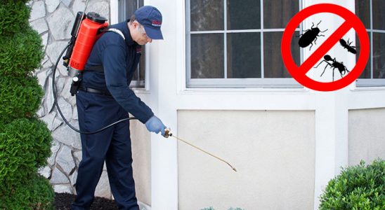 Finike Böcek İlaçlama böcek ilaçlama ve haşere kontrolü — ilaclama-tr.com